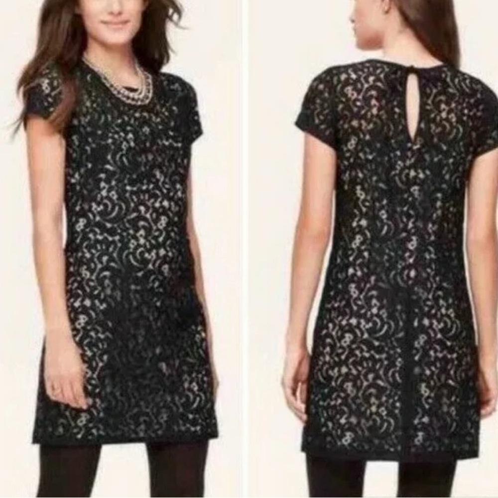 Ann Taylor LOFT Elegant Black Lace Women's Dess